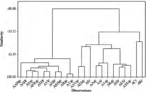 Figure  3.  Dendograms  obtained  by  the  Euclidean  distance  and  the  Ward  Linkage  method