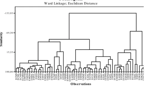 Figure 3. Dendrogram results obtained by Euclidean distance and Ward Linkage method 
