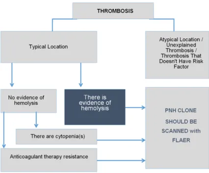 Figure 1. Characteristics of Thrombosis for which PNH Clone is Recommend-  PNH Clone is Recommend- PNH Clone is Recommend- Recommend-ed (AdaptRecommend-ed from www.pesg.org).