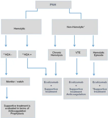 Figure 2. PNH Treatment Algorithm.  VTE: Venous Thromboembolism.  *In  case of bone marrow deficiency in non-hemolytic PNH, treatment of the  un-derlying disease has priority