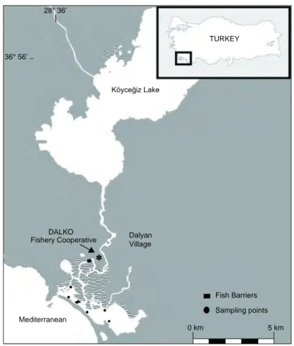Fig. 1.  Sampling points of Köyceğiz Lagoon, Muğla, Turkey 