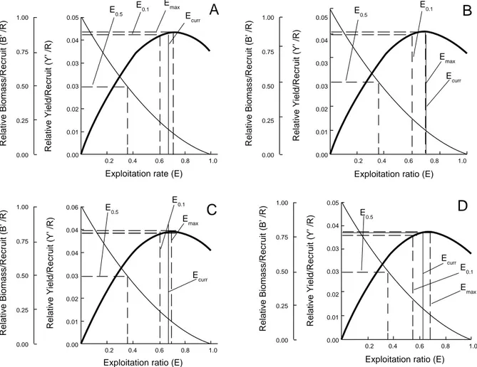 Fig. 4.  Relative Yield per Recruit (Y′/R)  and Biomass per Recruit (B′/R) for Chelon auratus (A), Mugil cephalus (B), 