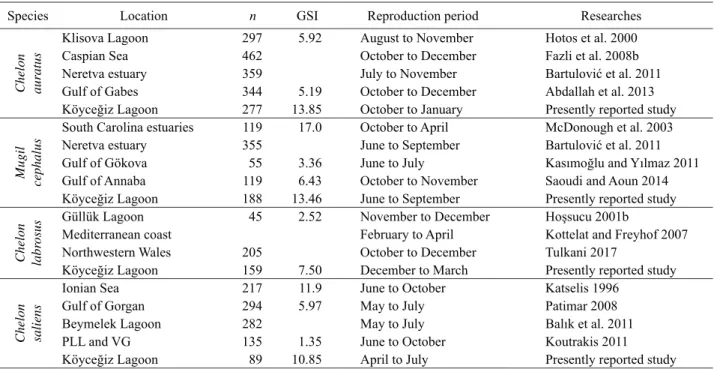 Table 5  Reproduction period and GSI values of C. auratus, M. cephalus, C. labrosus, and C