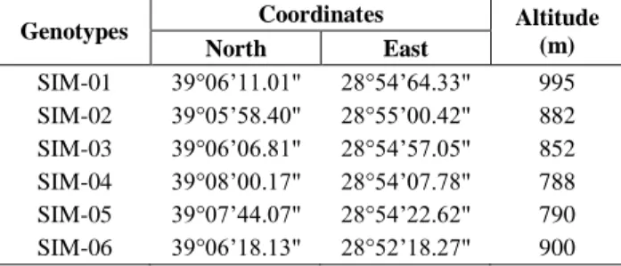 Table 1. GPS coordinates and altitude of apple genotypes. 