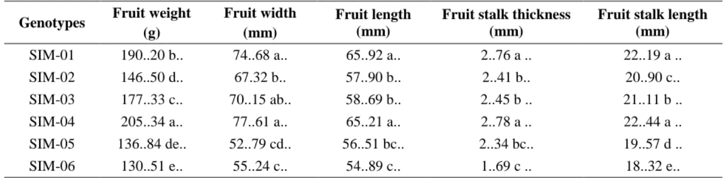 Table 2. Pomological characteristics of six apple genotypes in Simav district.  Genotypes  Fruit weight  