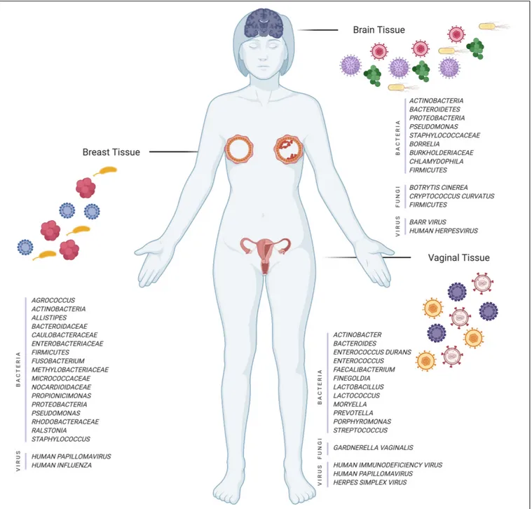 FIGURE 1 | Illustration of different tissues and their microorganisms (bacteria, fungi, and viruses) in normal and disease cases (Created with BioRender.com).