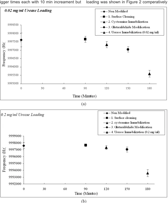 Figure 2. The reduction of frequency after surface activation, functional group additions and urease immobilization steps for 0.02 (a) and 0.2 (b) mg/mL initial urease concentrations.
