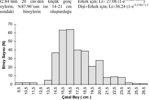 Şekil 1. L. cephalus örneklerinin çatal boy dağılımı 