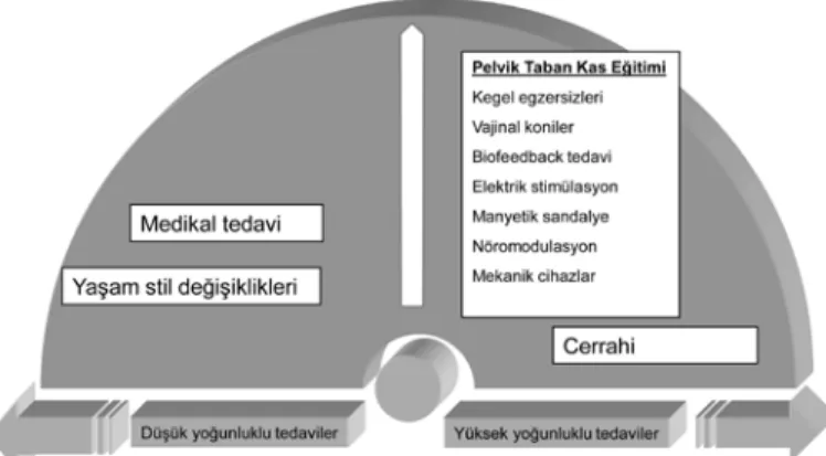 Şekil 1. Üriner inkontinans’da tedavi spektrumu