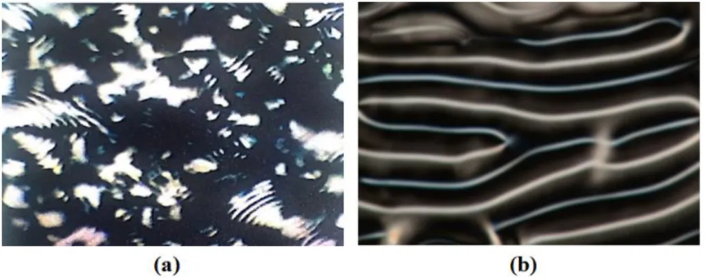 Şekil 2.27. Kolesterik Ch mezofazda gözlenen a) parmak izi tekstür (Nesrullajev, 2007), b)  spagetti tür tekstür 