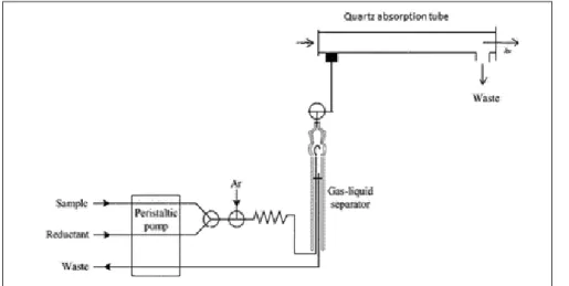 Fig. 1. Schematic of CVAAS system for mercury determination.