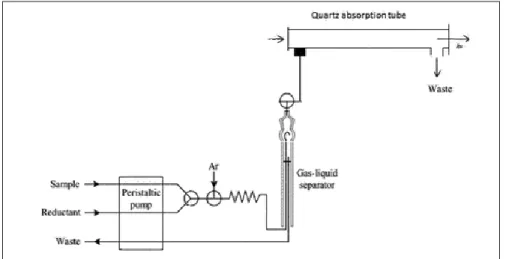 Fig. 1. Schematic of CVAAS system for mercury determination.