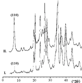 Figure 2 SEM micrograph of purified sepiolite after polymerisation and cyclization with polyacrylonitrile.