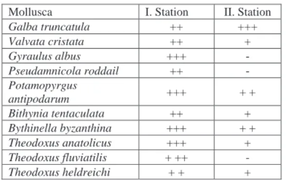 Figure 1. Akyaka Stream and stations (Gokova) Gokova Area includes Akyaka Azmak Stream  is very important wetland area, which is 