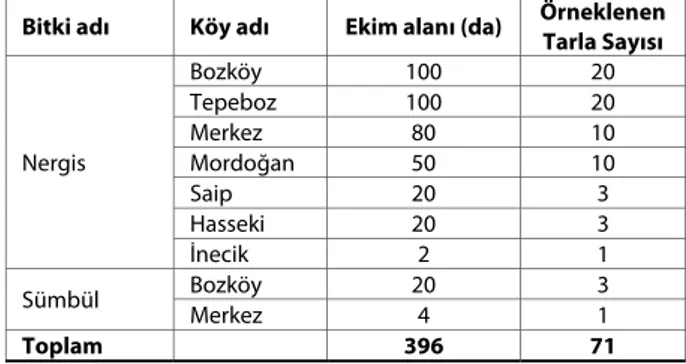 Çizelge 1. İzmir ili Karaburun ilçesi nergis ve sümbül sürvey alanları  Table 1.  Izmir province Karaburun district narcissus and hyacinth  survey areas 