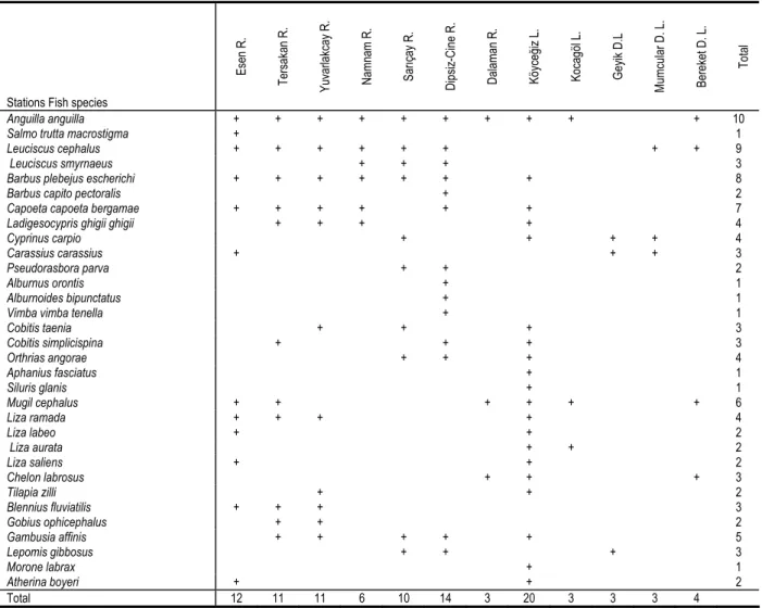 Table 1. Inhabiting fish species according to stations in the study area. 