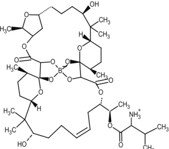 Şekil  2.  Boromisin  bileşiğinin  yapısı   (Structure  of  boromycin  compound).