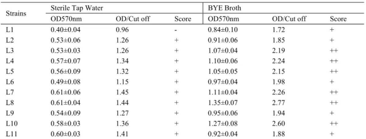 TABLE 4 - Biofilm production capabilities of L.pneumophila strains at 37°C, 72h. 