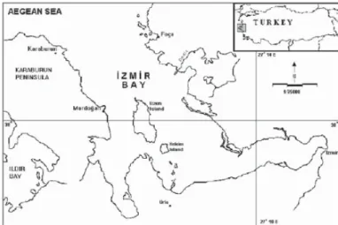 Figure 1.   Map showing the location of the Izmir 
