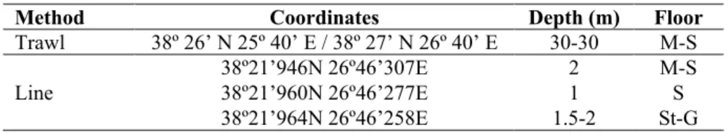 Table 1. Coordinates, depth and floor structure of stations where samples 