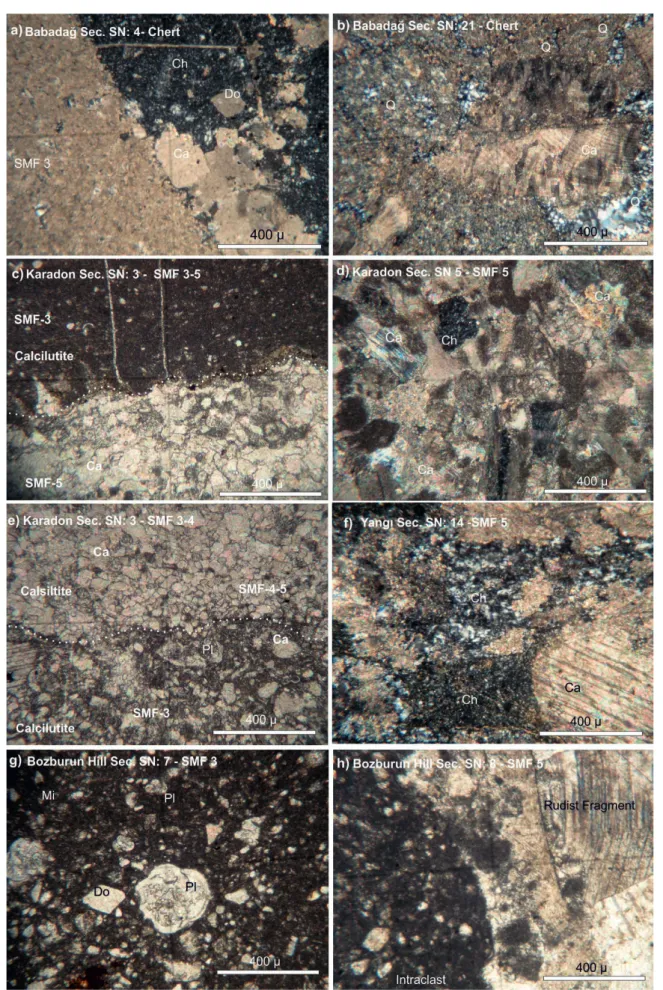 Figure 9.  Photomicrographs of the Babadağ Formation; a) Cross polarized microview of the silicification and dolomitization of SMF-3 facies in the Babadağ Sec- Sec-tions; b) Cross polarized microview of the relatively coarser quartz mineral replacing calci