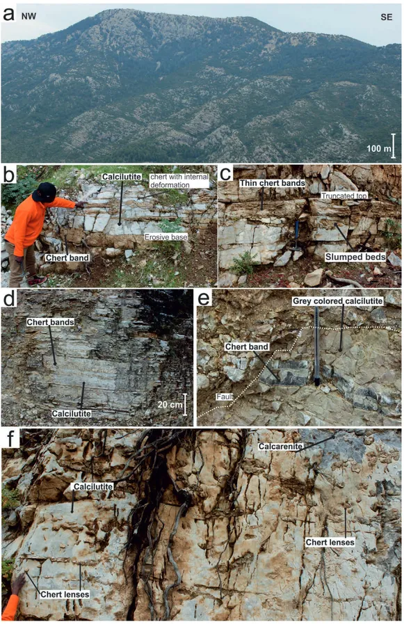 Figure 5.  Field photographs showing the lithological properties of calciturbidites in several stratigraphic levels of the Babadağ sections