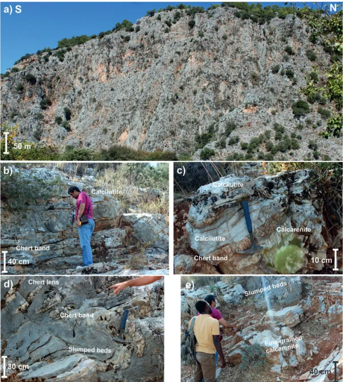 Figure 6.  Field photographs showing the calciturbidites in Karadon sections. (a) General view of calciturbidites in Karadon area, (b) pinkish-grey calcilutite with chert  bands, (c) reddish-grey, fine-grained calcarenite with chert-bands, (d) thick bedded