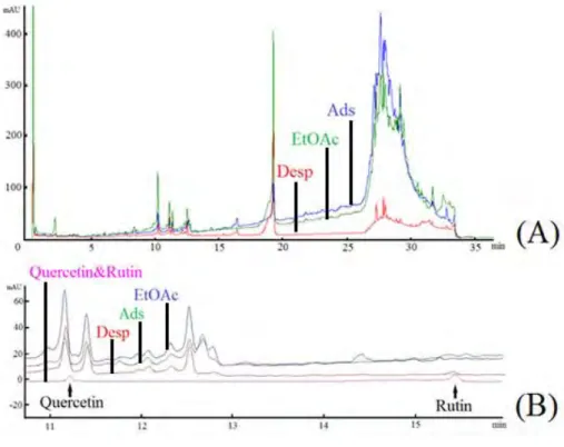 Figure 8: The HPLC chromatogram of original ethyl acetate extract of HP stems; (A) Retention  time: 0-35 min, (B): Retention time: 10-16 min of (A) with Quercetin and Rutin model flavonoids