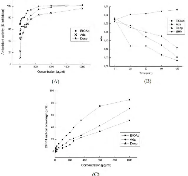 Figure 10: Antioxidant activity (A), rate of β-carotene bleaching (BHA: Butylated hydroxyanisole)  (B) and DPPH radical scavenging (C) of the original extract solution of the ethyl acetate extract of  the HP stems before adsorption (EtOAc), post-adsorption