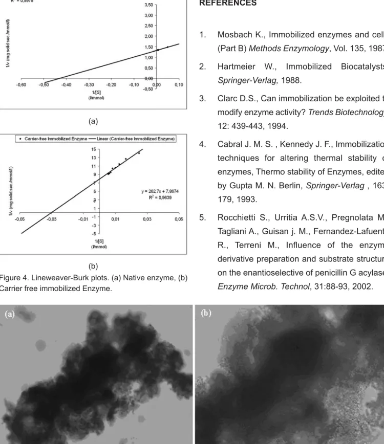 Figure 5. Optical micrograph of cross-linked POD aggregates. (a) x40 and (b) x60 magnification.y; 3.0731x + 1.3207 