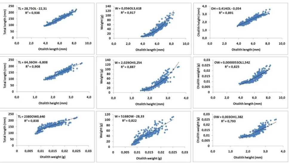 Figure 2. Relationships between otolith morphometric parameters and fish sizes of S. cabrilla