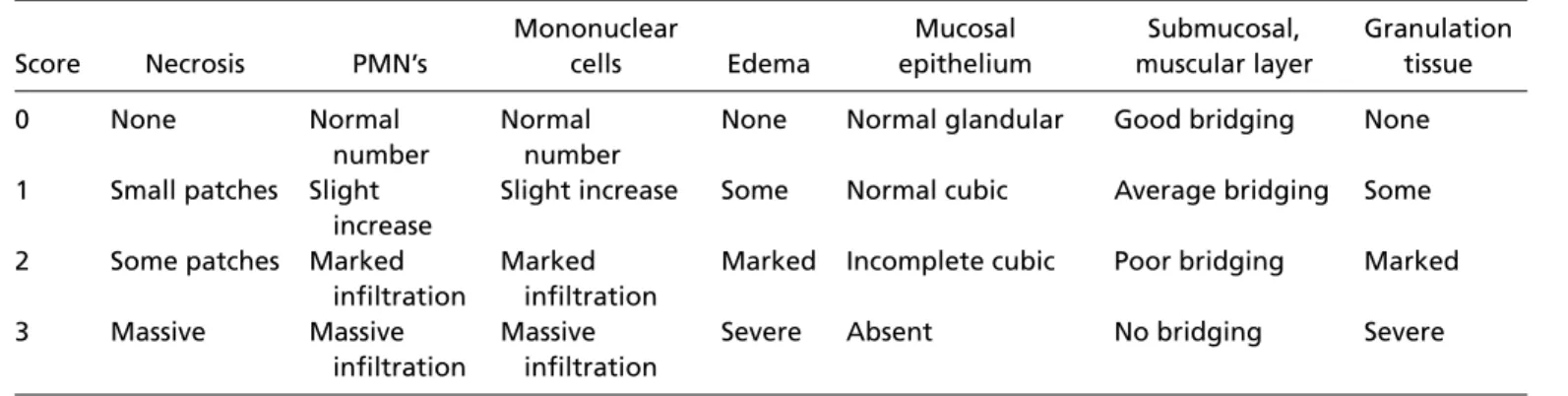 TABLE 1 Histopathologic parameters used to analyze wound healing