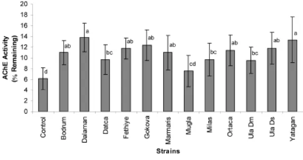 Figure 1. Mean (±SD, N=3) mean percent remaining acetylcholine esterase enzyme activities of Drosophila melanogaster populations