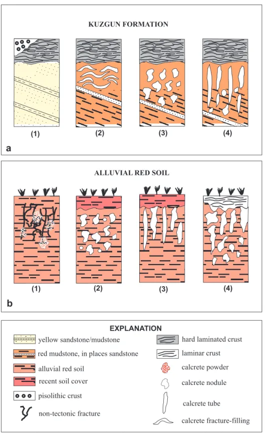 Figure 5.  Schematic presentation of calcrete profiles (a) in and/or over the Kuzgun Formation and (b) in the alluvial red soil
