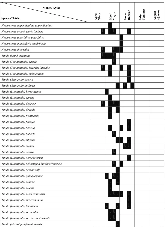 Çizelge 4. 2. Araştırma alanından tespit edilen Tipulidae türlerinin uçuş zamanları                                                             