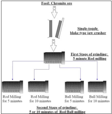 Figure 1. Schematic representation of experimental process 