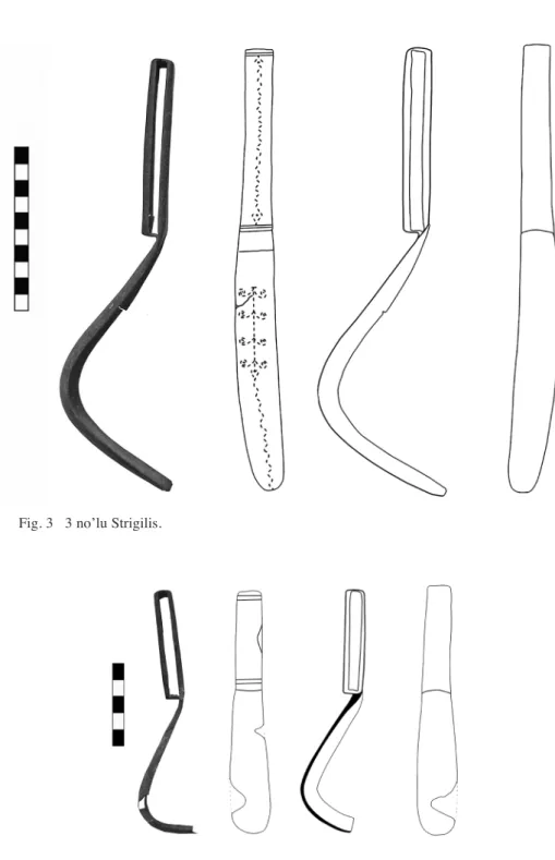 Fig. 3  3 no’lu Strigilis.