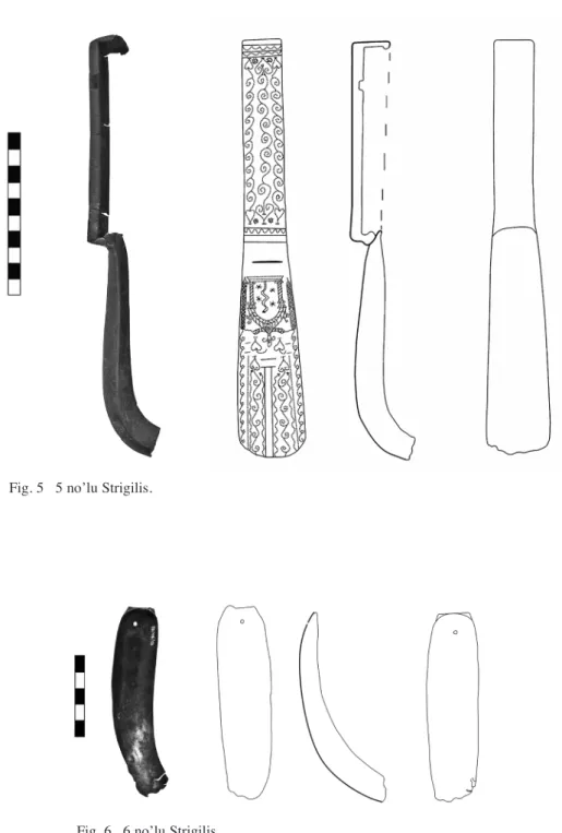 Fig. 6  6 no’lu Strigilis.