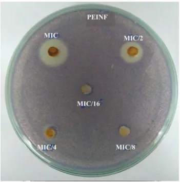 Fig. 8    Disruption of quorum sensing of C. violaceum CV026 by  nanomaterials