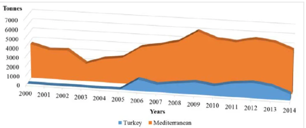 Figure 5. Total catch amount of E. alletteratus in 2000-2014 (FAO 2014). 