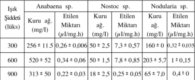 Tablo 1. Farkl› ›ﬂ›k ﬂiddetinin siyanobakterilerde üreme ve nitrojenaz aktivitesine ektisi