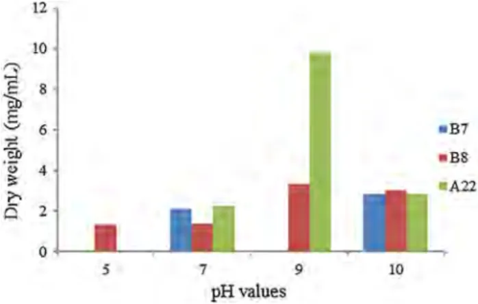 Fig. 1    The effects of different temperature values on the growth of  cultures