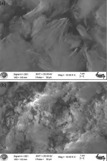 Figure 1 shows the SEM images of the pure MgO and 4La-MgO samples. Both samples display  uni-form morphology with needle-like structures due to the aggregation of several thousand  nanoparti-cles