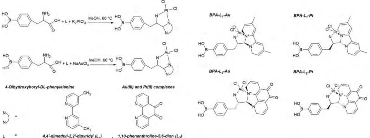 Figure 1. Synthesis procedures of the organometallic complexes (A) and chemical structures of the synthesized BPA-based complexes (B).
