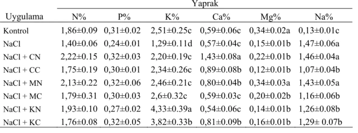 Çizelge 3. Tuz Stresi Altındaki Mısır Bitkisine Uygulanan Ca, Mg ve K’lı Bileşiklerin Yaprak  ve Kök Makro Element İçerikleri Üzerine Etkisi (%)