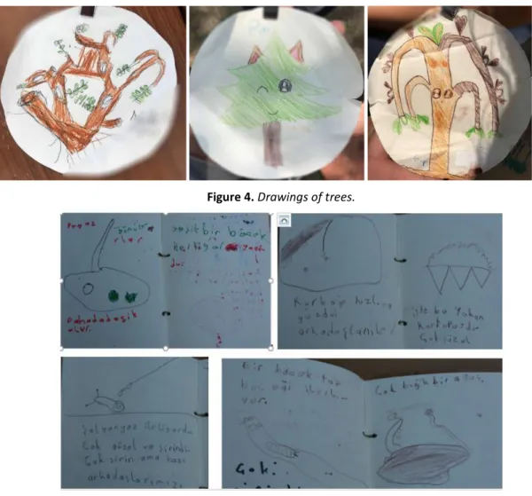 Figure 4. Drawings of trees. 