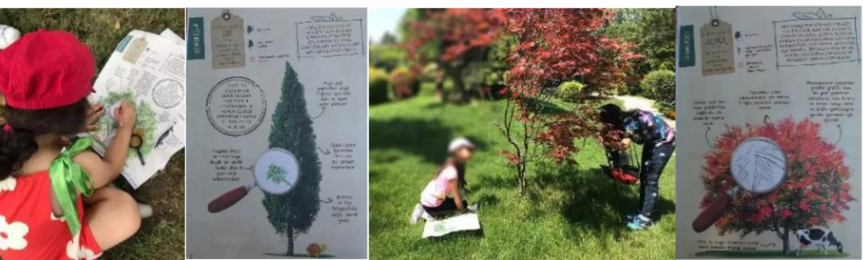 Figure 2. “Let’s find the tree types and draw their leaves”. 