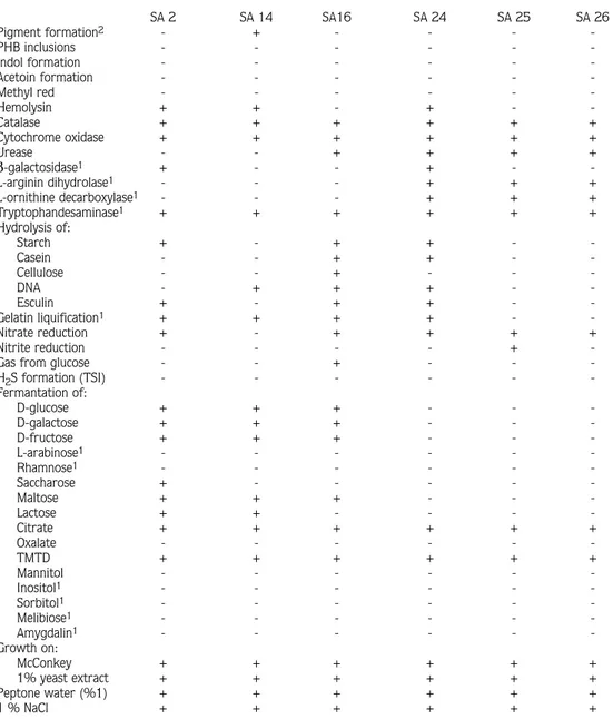 Table 2. Overview of the Morphological, Physiological and Biochemical Characteristics of Selected Bacterial Isolates with TMTD as Sole Carbon Source