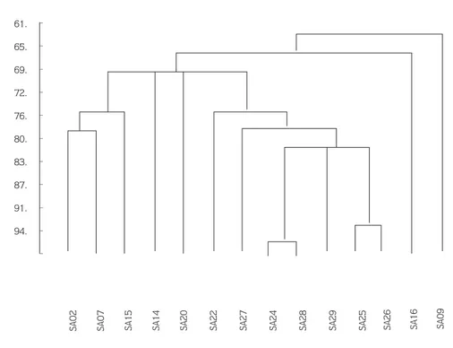 Figure 2. Phenogram Based on the Phenotyphic Tests Listed in Table 2. The scale shows the similarity values in (%)