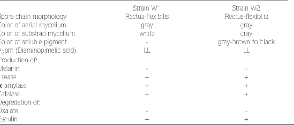 Table 4. Some Properties of Soil Streptomyces Isolates